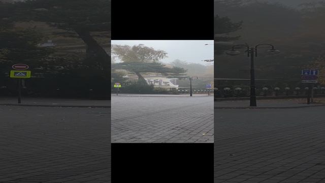 Утренний Светлогорск. смотреть онлайн