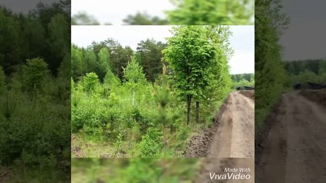 Тюменская слобода или Рублевская слобода?