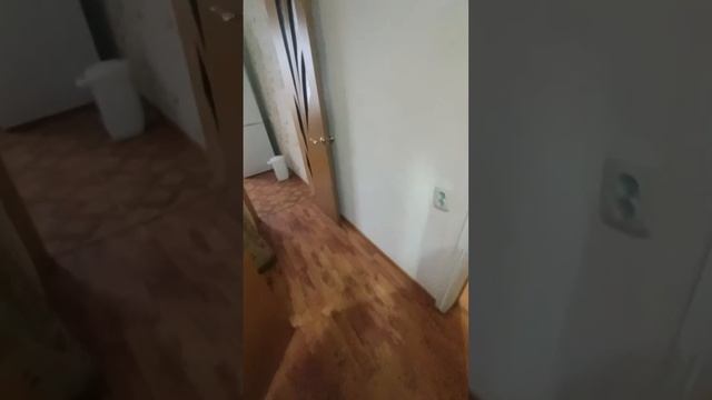 6 апреля 2023 г.