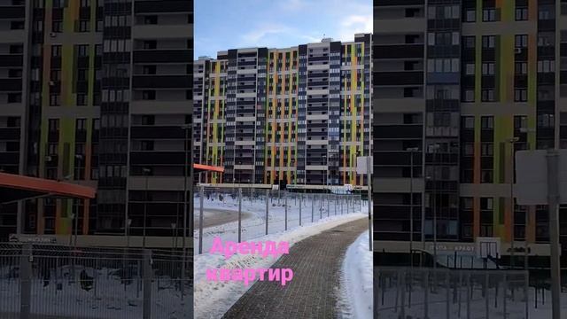 #арендаквартиры в 17 районе Зеленограда. #арендаквартиры #квартира #зеленоградэтомосква