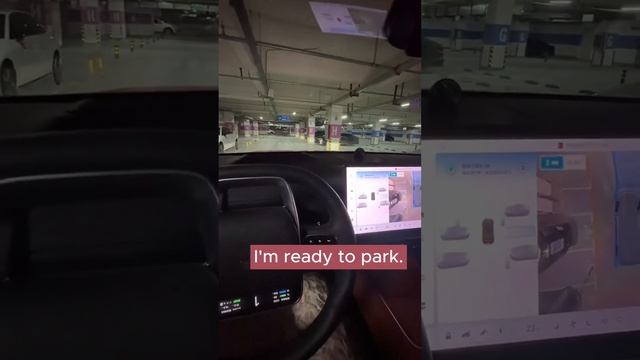 Do A girl need a Smart Vehicle to help parking? Let's see Li Auto L9 performance #chinaevcar  #car