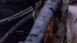 Как козел "Провокатор" заводит баранов на убой на скотобойне. Сравните с нашей жизнью.