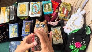 Мои самые рабочие и самые любимые колоды карт таро