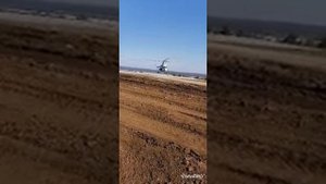 Дерево умрёт во благо