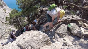 2022 Веселое - Новый свет