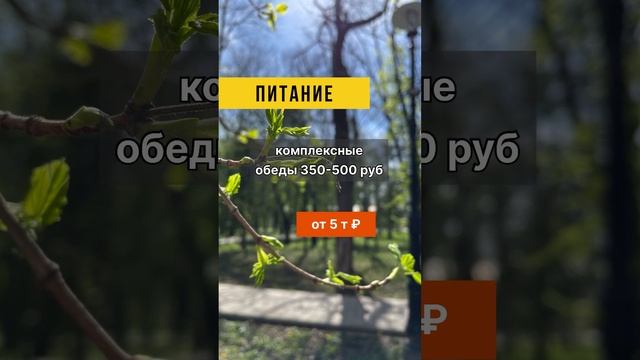 #ессентуки #отпуск #отпусквроссии #кавказ #горы #лечение #путешествиепороссии #природа смотреть онлайн