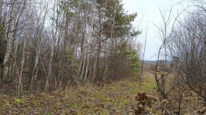 Ловля птиц 27.10.24.