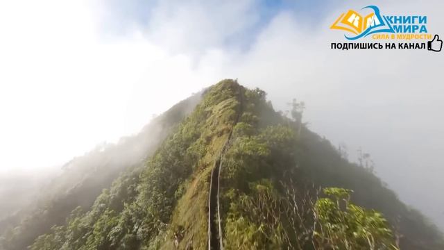 Как Научиться Быть Любым и Легко Подстраиваться Под Любую Ситуацию?! Никошо и Адамс смотреть онлайн