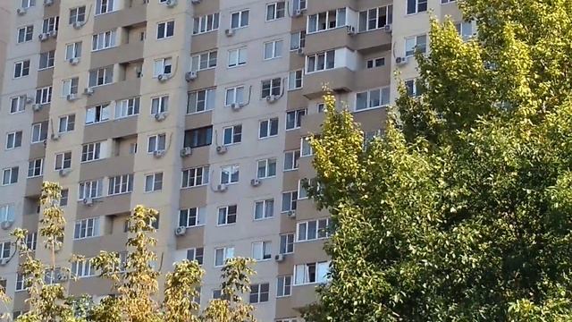 Наши муравейники - человейники. Краснодар.