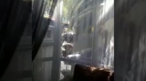 Гостевой дом Сириус Адлер просвещения 105 а