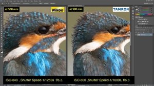 Tamron 150-600mm G2 vs Nikon 200-500mm - Image Quality Comparison in Hindi.