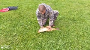 Не плохой улов .Поймал отпусти...