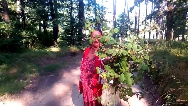 Стрижавка Вінницький район Вінницька область Украіна 23.07.2021@ смотреть онлайн