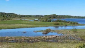 Путешествие на Танке 300 с домом на колесах в Пушкинские горы Псковской области