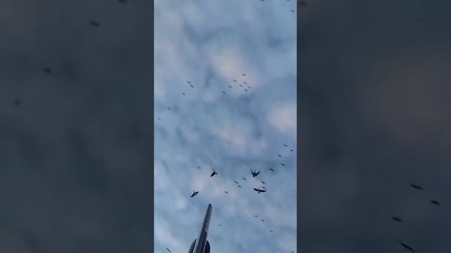 Все небо в гусях #охота #охотанагуся #hunt #hunter #gun #shots  #рыбалка #nature #hunting #fishing смотреть онлайн