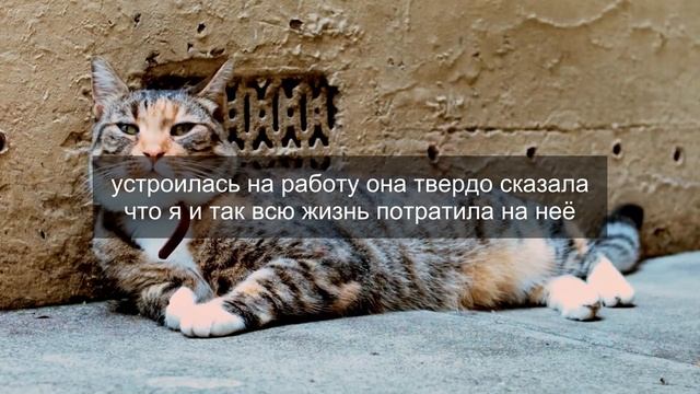 Истории из жизни Муж был уверен, что я выберу его когда пригрозил разводом, если... смотреть онлайн