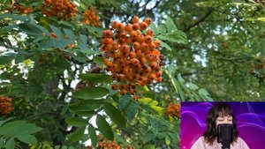Свекровь не хочет видеть тебя на юбилее, ты там лишняя - муж с ухмылкой поехал на торжество.
