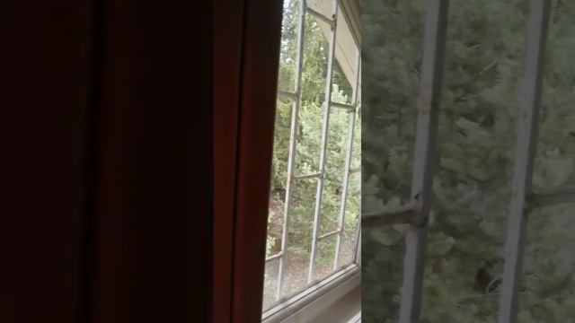 Сдаю дома и квартиры в Москве и Московской области. Риелтор, которого рекомендуют друзьям. Светлана смотреть онлайн