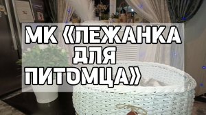 МК «ЛЕЖАНКА ДЛЯ ПИТОМЦЕВ»