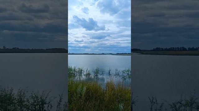 Красногорка (12.08.2024)