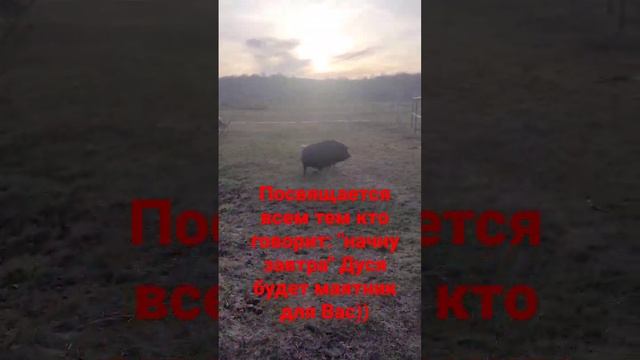 #раевскаяусадьба #раевская #новороссийск #анапа #алексейахмедовинедвижимость смотреть онлайн