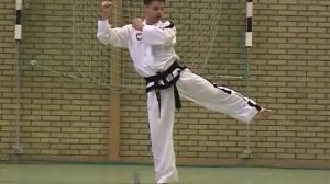 Taekwon-do ITF - poeun. Ч 11