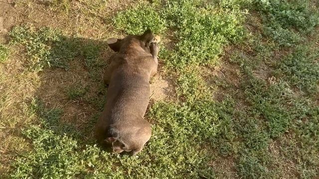 в дом на ЮГЕ не ПОЕДЕМ в этом году? смотреть онлайн