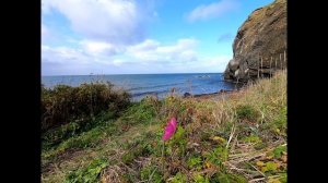 о_Сахалин_Углегорск_Шахтёрск_Орлово_Ламанон 11_10_2024