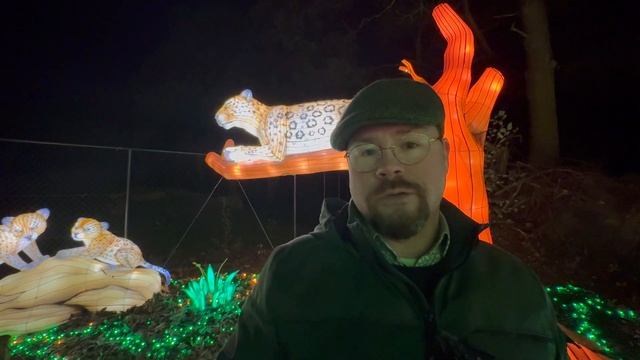 Safaripark Beekse Bergens Light Safari near Efteling!