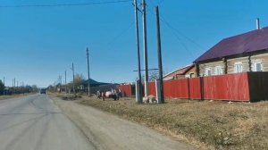 ДОРОГА НА УСПЕНО-ЮРЬЕВКУ. ДМИТРИЕВКА.