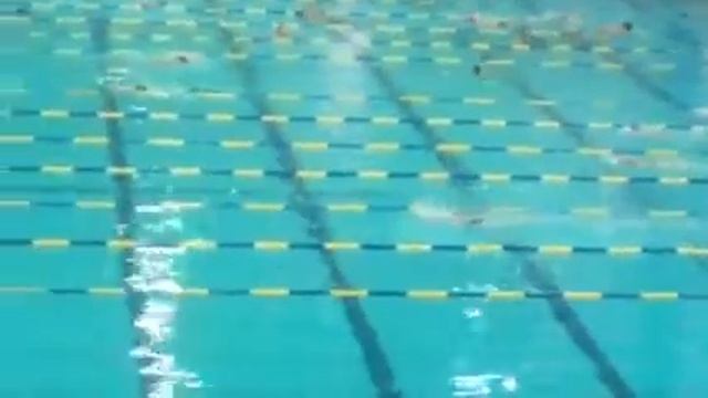 Буркова Софья 50 метров вольным стилем Первенство МО по синхронному плаванию 25.12.2016 смотреть онлайн