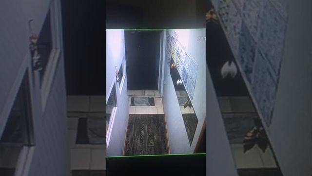 Квартирные кражи в Усть-Куте2 смотреть онлайн