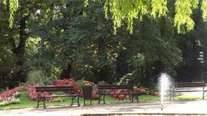 А теперь пошла вон из моей квартиры, старая курица! Заорала невестка на обнаглевшую свекровь.