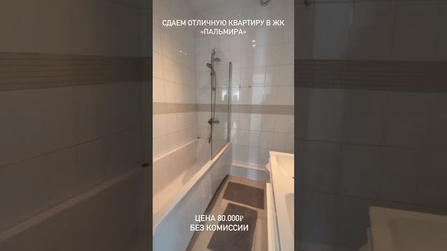 Сдаем 3 ком кв в Сочи в ЖК Пальмира за 80.000₽. Без комиссии. 89384703240 #переездвсочи #арендасочи