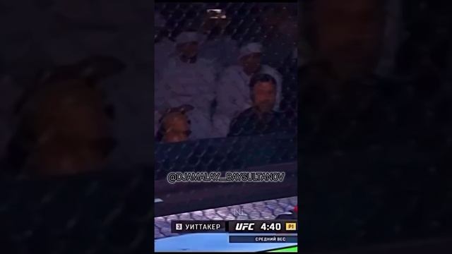 Чимаев Хьамзатан лерин илли Джамалай смотреть онлайн