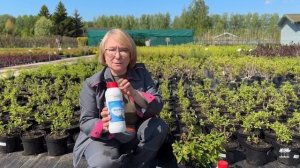 ВОЗВРАТНЫЕ ЗАМОРОЗКИ \ КАК СПАСТИ РАСТЕНИЯ? \ СОВЕТЫ АГРОНОМА