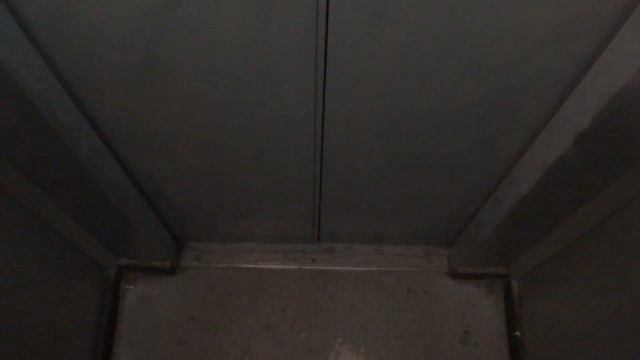 Электрический лифт V=0,71 м-с, грузоподъемность 320 кг (2073) смотреть онлайн