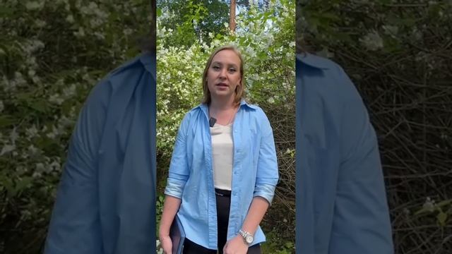 Оборот земель сельхозназначения смотреть онлайн