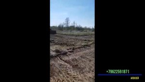 Калининградская обл.  п Матросово. Благоустройство участка и подъезда к нему.