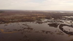 Большая вода в карпятнике. Прошедшее лето 2024.