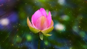 Тёща повалила зятя на диван и…