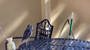 Miami, квартиры в Майами низкие цены 150.000$