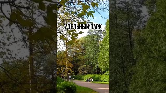 Один из крупнейших и престижных районов Санкт-Петербурга🔥 Обзор на Приморский район!