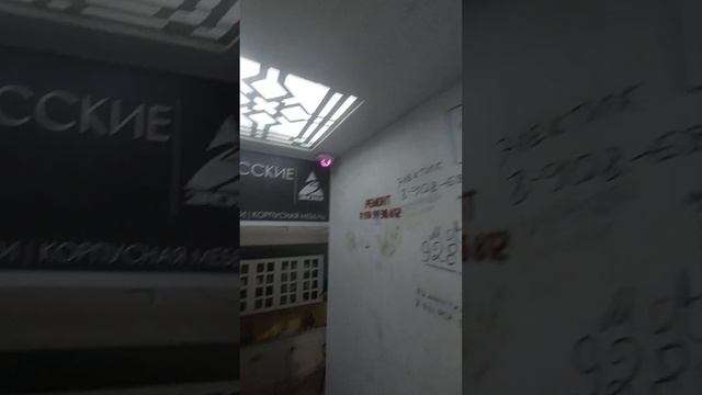 Сдача квартиры Авито 2023