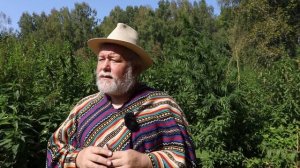 Варганный урок. Дыхание, как основной инструмент импровизации