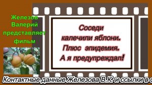 Соседи калечили яблони. Плюс  эпидемия. А я предупреждал!