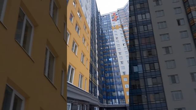 Санкт-Петербург. Здесь Интересно. Подпишись #russia #спб #санктпетербург #россия смотреть онлайн