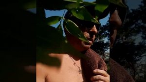 Мое восстановление после инсульта.