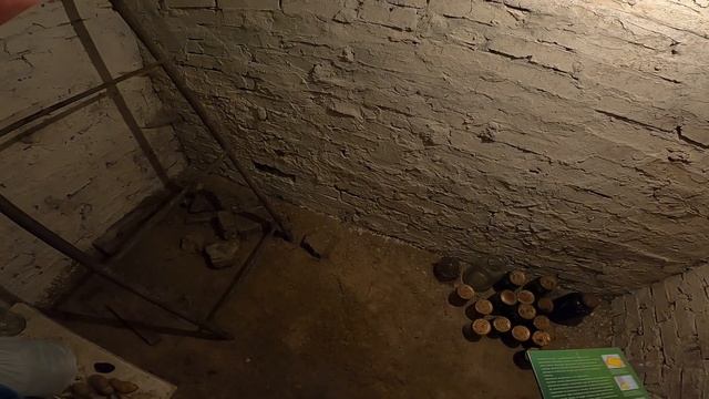 В подвале завелась мышь или крыс, что делать? смотреть онлайн