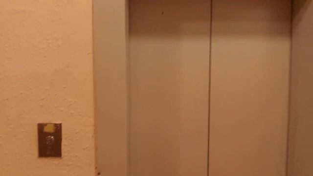 2 лифта КМЗ 2014 на 10 этажей! Курыжова 7к2 [П-3] смотреть онлайн